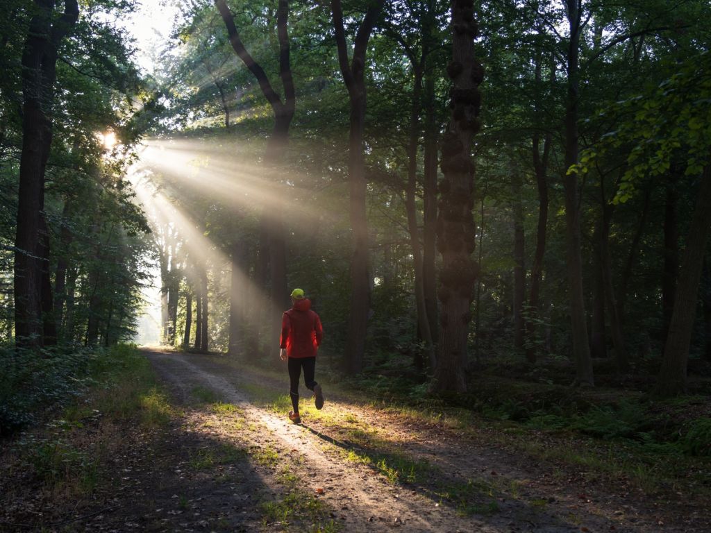 Deine Laufschuhe brauchen mehr Natur