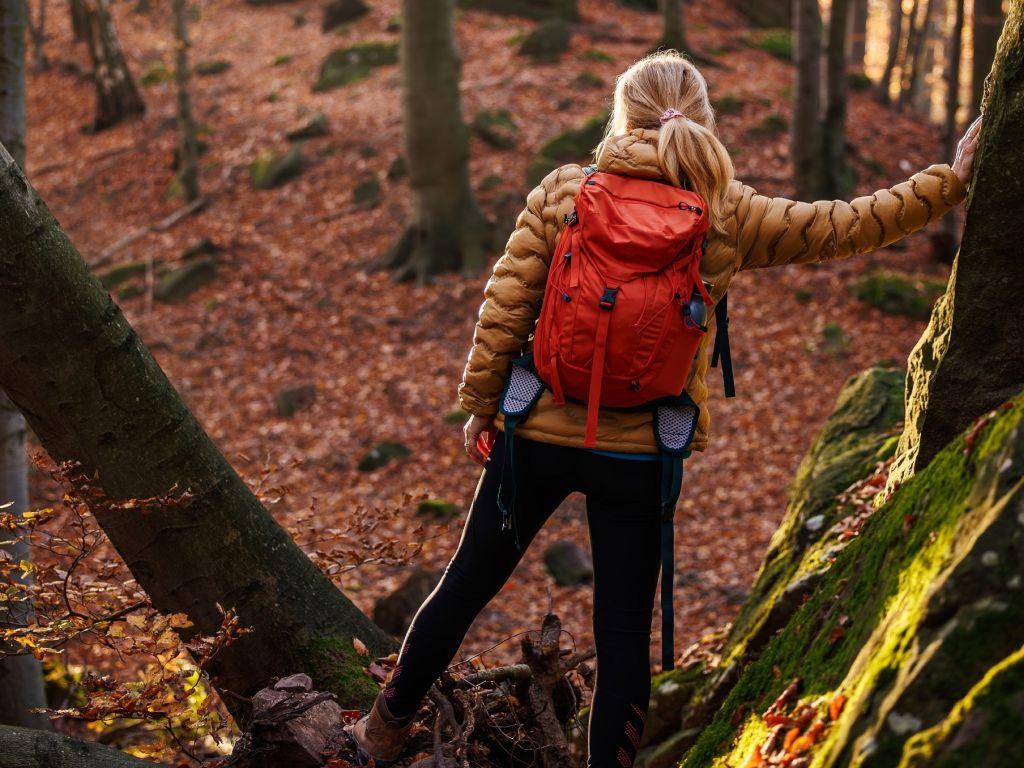 Der goldene Wanderherbst